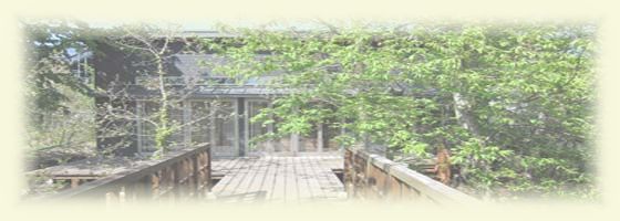 top_bg