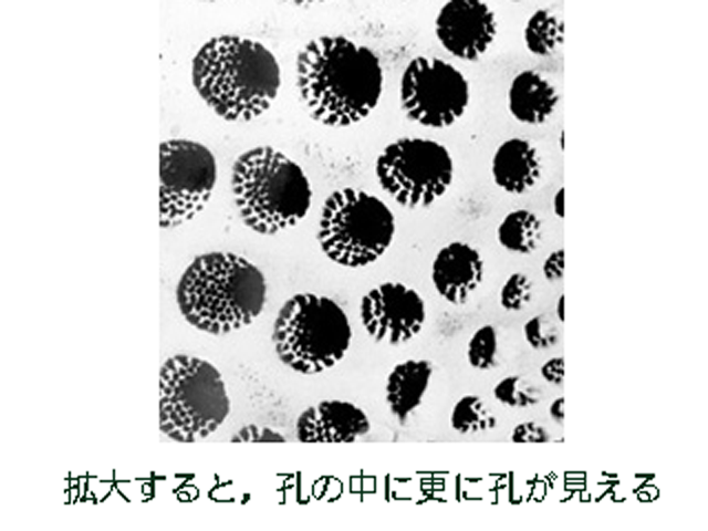 http://www.kanai-cc.com/assets_c/2012/01/15/Hole2.png