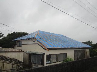 IMG_1255.JPG