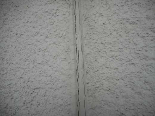 DSCN2813-1.JPG