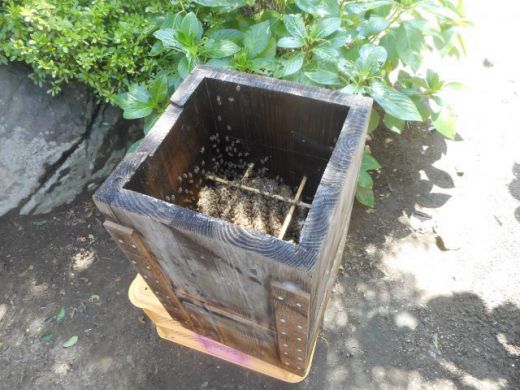 DSCN5208.JPG