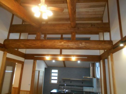 DSCN7975.JPG
