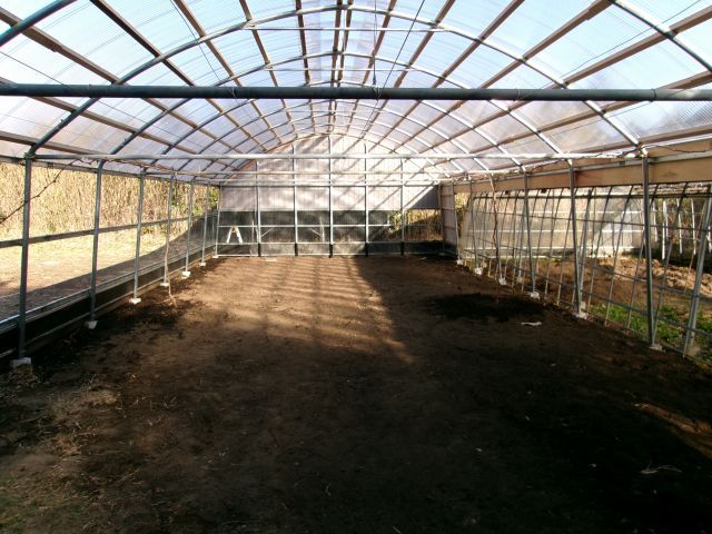 http://www.kanai-cc.com/assets_c/2025/04/20/200_0220.JPG