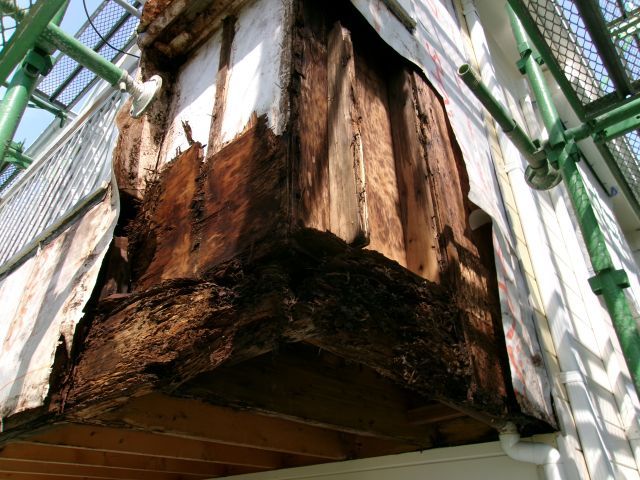 http://www.kanai-cc.com/assets_c/2025/04/29/200_0695.JPG