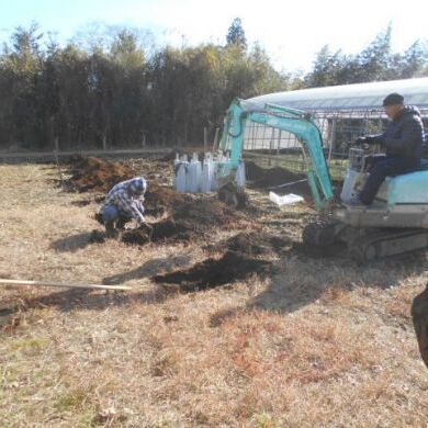 DSCN0188.JPGのサムネイル画像