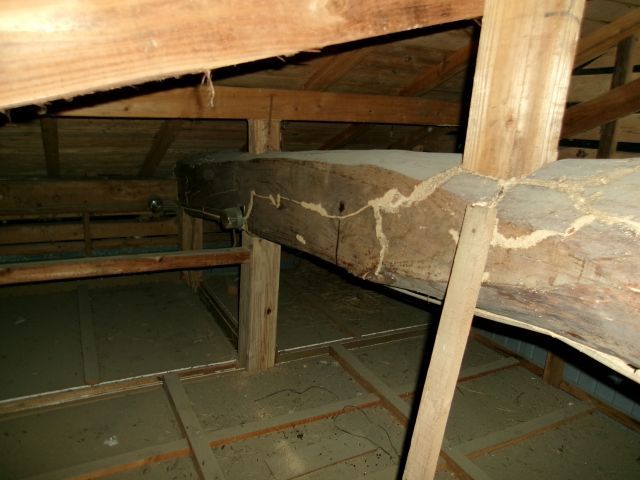 http://www.kanai-cc.com/assets_c/2025/07/07/200_0545.JPG