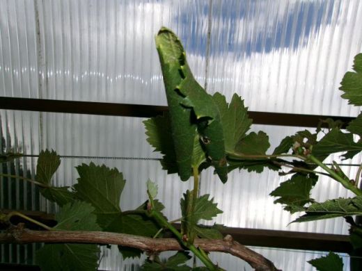 200_1227.JPG