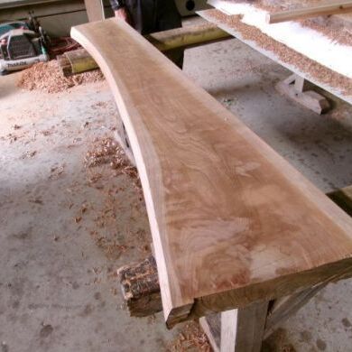 200_0911.JPGのサムネイル画像