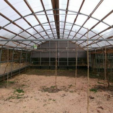 200_1809.JPGのサムネイル画像